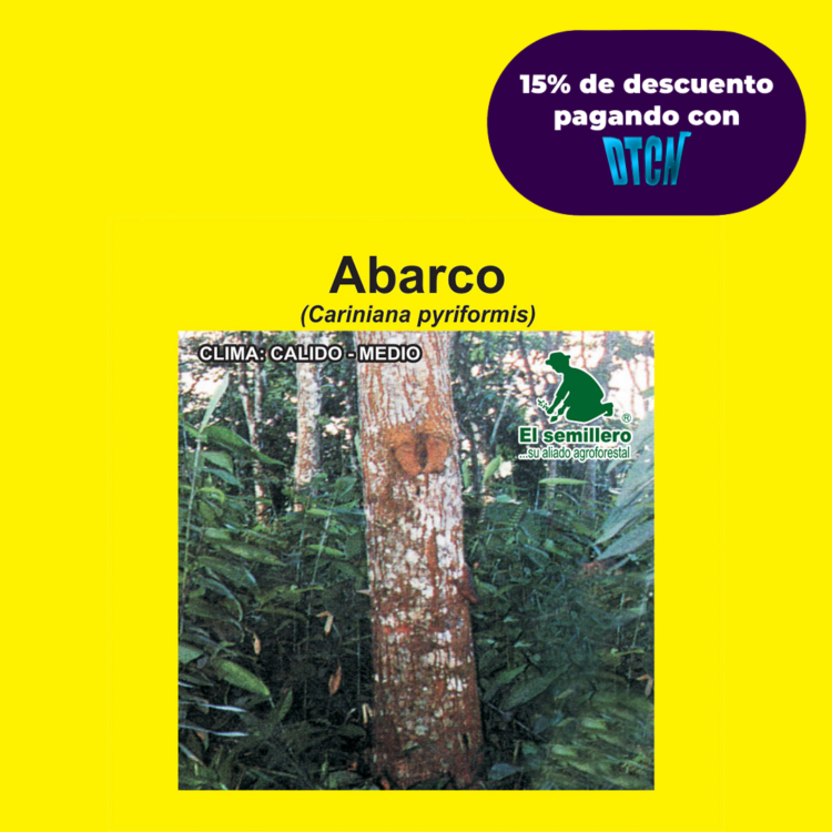 ABARCO (SEMILLA)