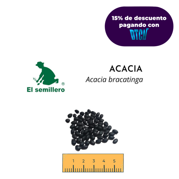 ACACIA BRACATINGA (SEMILLA)