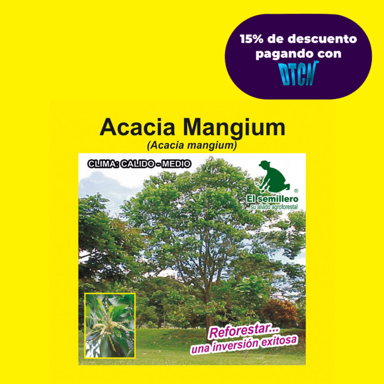 ACACIA MANGIUM (SEMILLA)