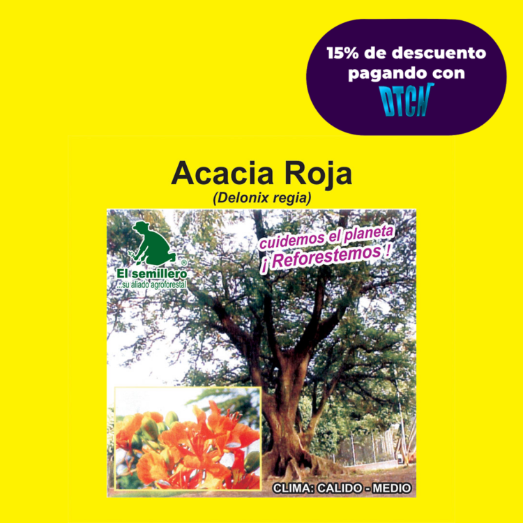 ACACIA ROJA (SEMILLA)