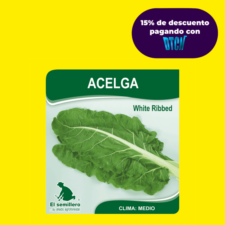ACELGA WHITE RIBBED (SEMILLA)