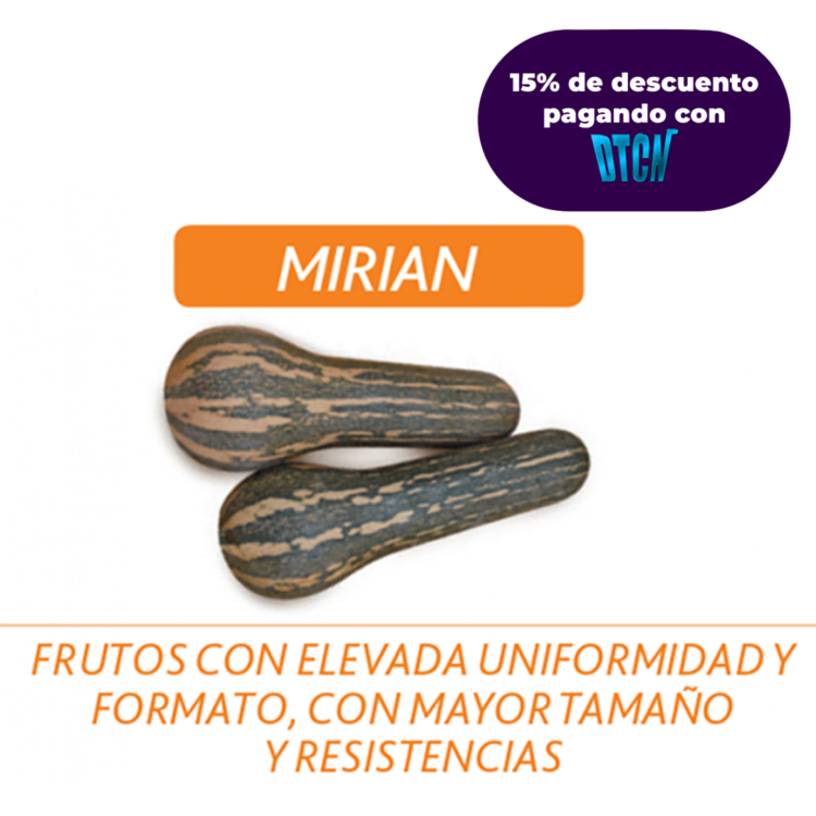 AHUYAMA HIBRIDA MIRIAN 1000 SEMILLAS