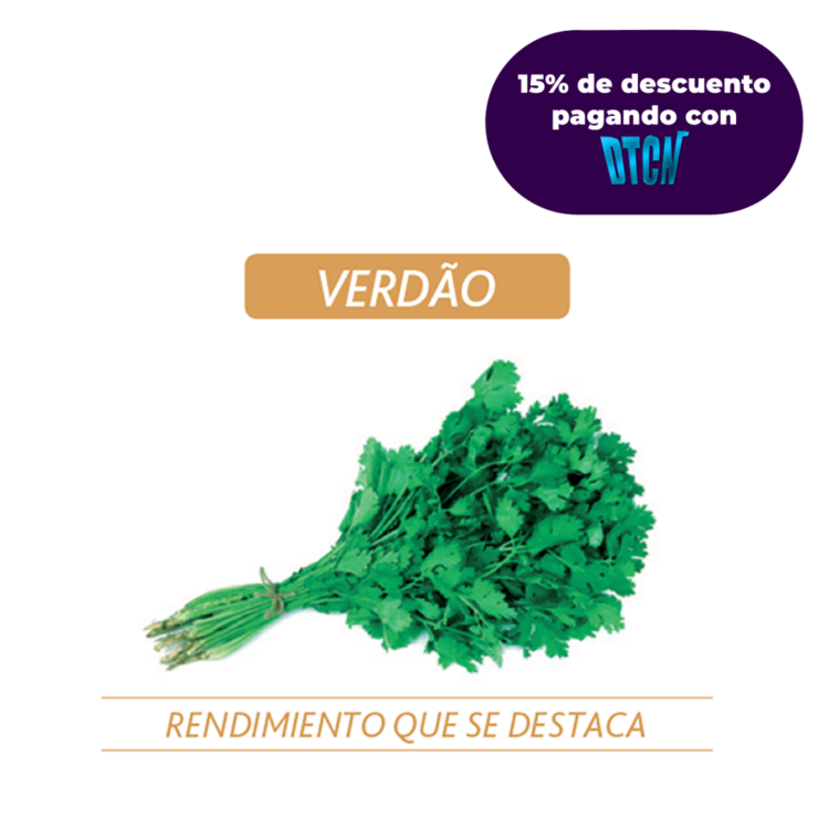 CILANTRO VERDAO X 500 GR (SEMILLA)