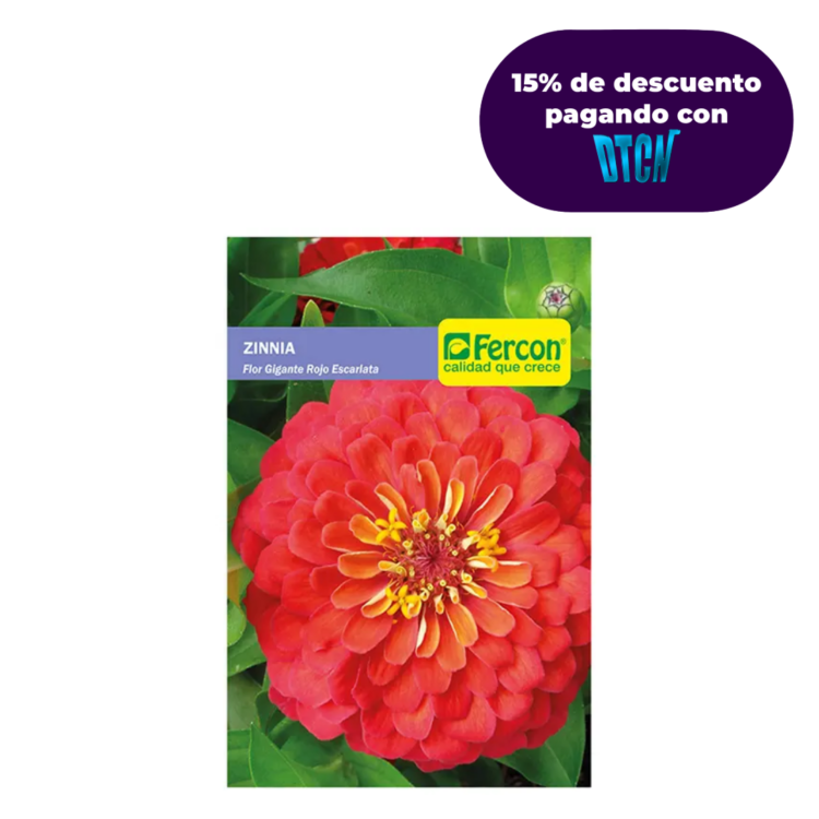 FLOR ZINNIA FLOR GIG. ROJO ESCARLAT 6850 X 0.5GR (SEMILLA)