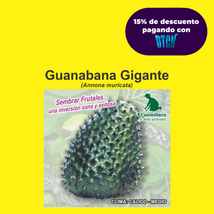 GUANABANA GIGANTE (SEMILLA)