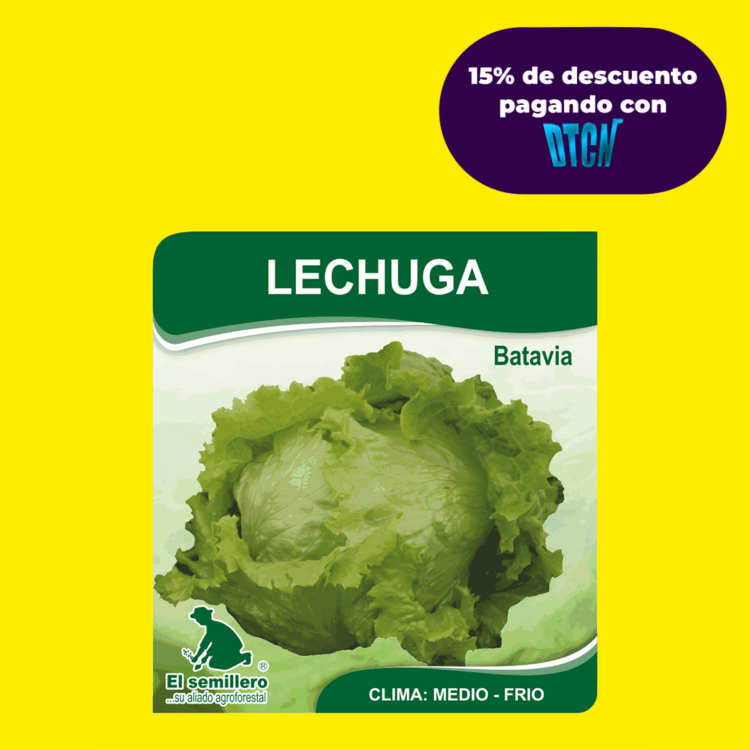 LECHUGA GREAT LAKES BATAVIA (SEMILLA)