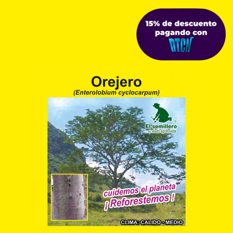 OREJERO (SEMILLA)