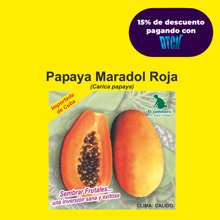 PAPAYA MARADOL X 100 SEMILLAS