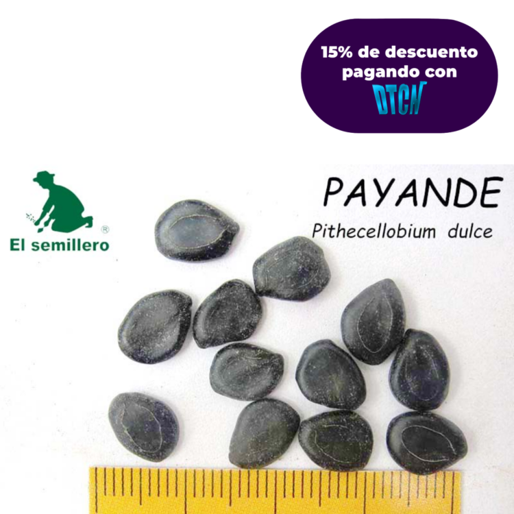PAYANDE - CHIMINANGO (SEMILLA)