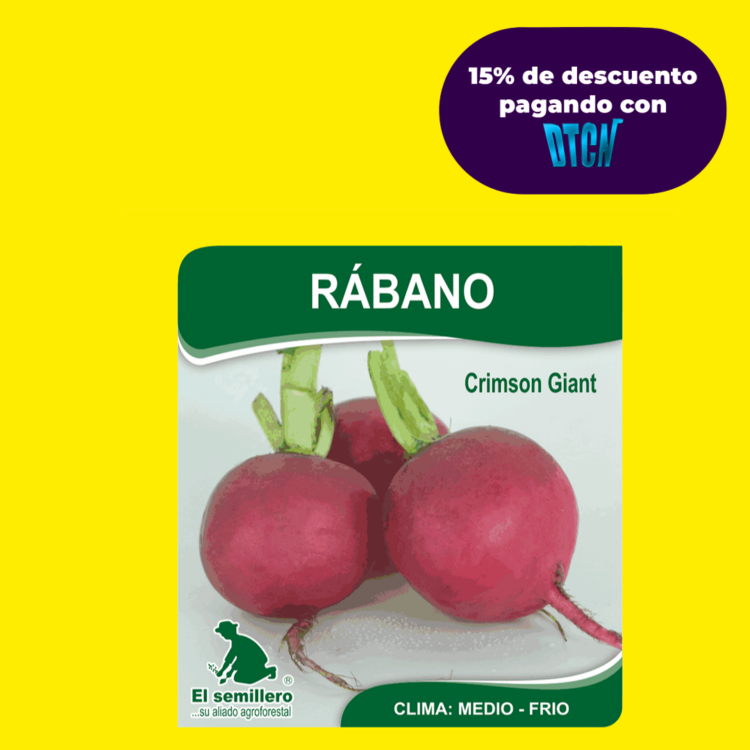 RABANO CRIMPSON GIANT (SEMILLA)