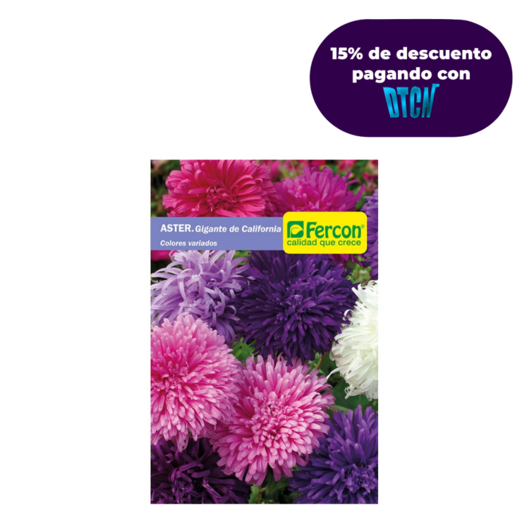 Semillas De Aster Gigante De California X 0.5gr