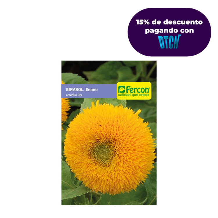 Semillas De Girasol Enano Amarillo X 0.8gr