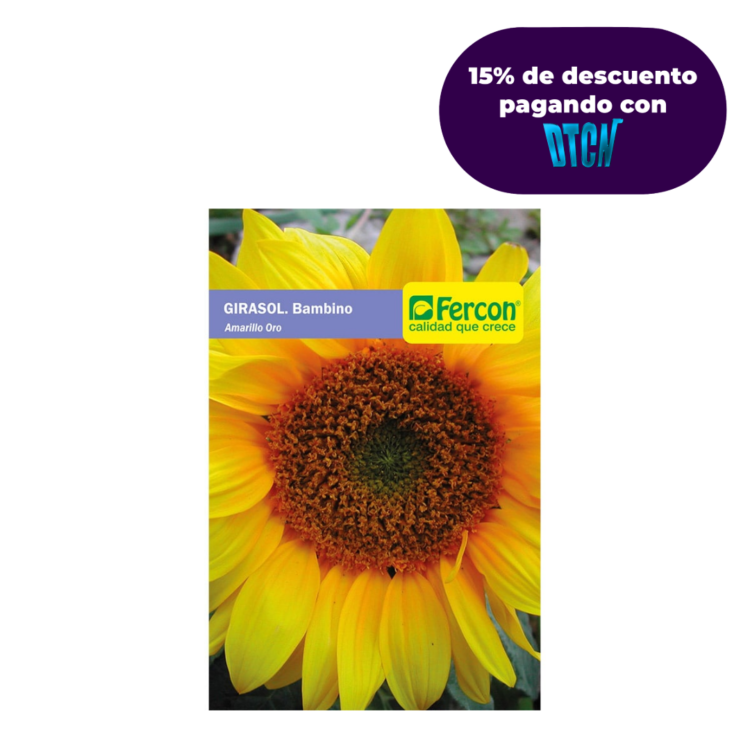 Semillas De Girasol Enano Bambino X 0.5gr
