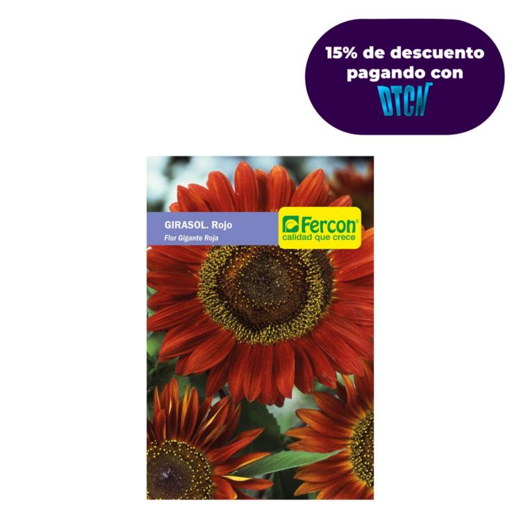 Semillas De Girasol Flor Gigante Roja X 0.5gr