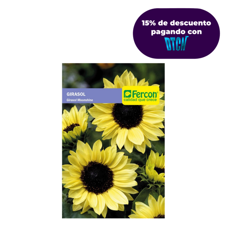 Semillas De Girasol Gigante Amarillo Moonshine X 0.5gr