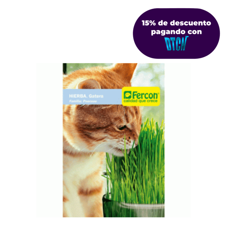 Semillas De Hierba Gatera X 2gr