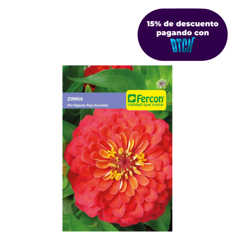 Semillas de Zinnia Flor Gigante Rojo Escarlata x 0.5 gr